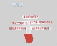 泰安代做可行性报告的费用/多少钱图片4