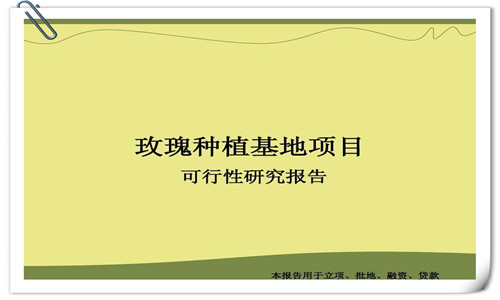广平县项目申请报告怎么写可行报告