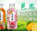 柠檬茶/乌龙茶/饮料招商/广州贝奇图片