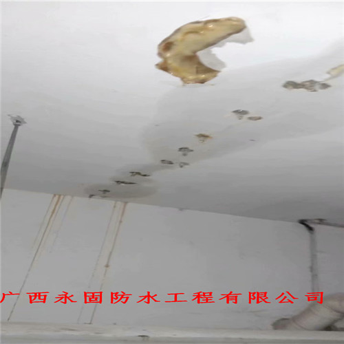 隆安县做房屋防水堵漏的公司-广西永固防水补漏公司