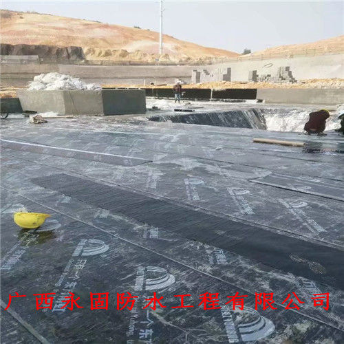 上林县屋面屋面防水施工补漏-广西永固防水补漏公司