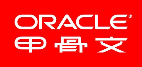 甲骨文数据库oracle11g标准版25用户