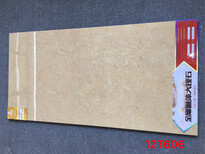 佛山大规格瓷砖隆重推出60x120大规格通体砖地板砖图片0