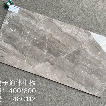 400x800负离子通体中板工程砖瓷砖上墙墙砖