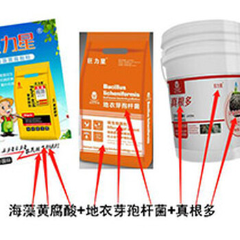 大棚草莓死苗率高,要怎么改善?