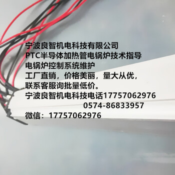 PTC发热片额定工作电压是220V宁波良智机电科技PTC半导体加热管电锅炉技术指导
