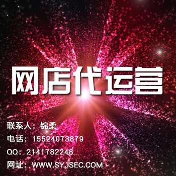 沈阳淘宝代运营推广