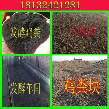 保定容城干雞糞哪里有？河北保定今年對干雞糞的需求大嗎？