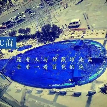 鯨魚島主題樂園出租大型暖場活動鯨魚島租賃