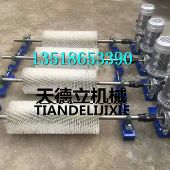 電動(dòng)滾刷清掃器電動(dòng)旋轉(zhuǎn)刷皮帶清掃器刷式刮煤器