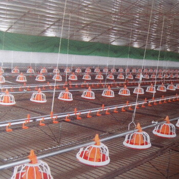 机械喂养设备智能养殖设备养鸡水线料线