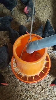 加强型养殖业机械设备鸡鸭养殖料桶
