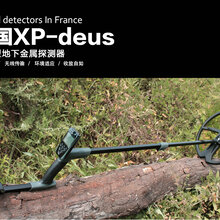 原装法国进XP-DEUS9英寸精英版手持地下金属探测器图片