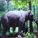 動物科教博物館模型