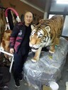 齊齊哈爾仿真老虎價格