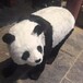 銅仁熊貓模型制作