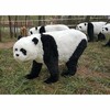 海南熊貓模型批發