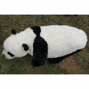 广州熊猫模型公司