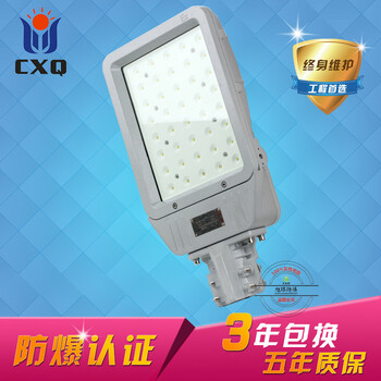 XQL8103LED防爆路灯60W