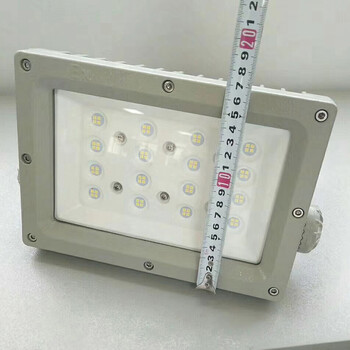 LED防爆灯50W