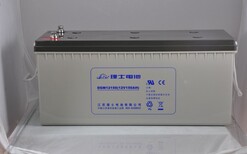 原装理士蓄电池厂家2v300AH价格图片1