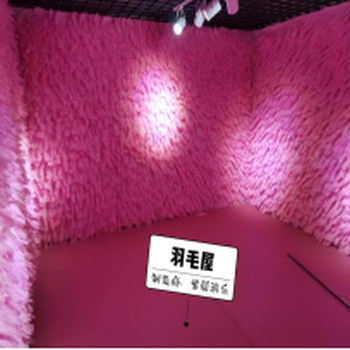 羽毛小屋爱心花墙镜子迷宫