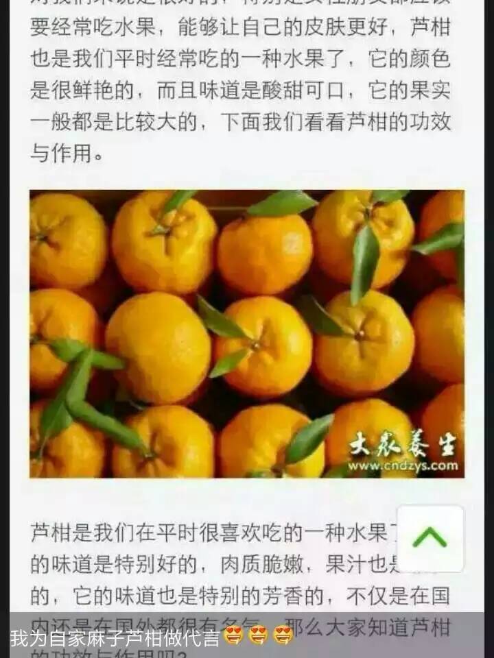 【衢州柑橘纯绿色柑橘桔子原产地农家桔子】_