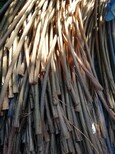 永州废电缆时刻回收永州废铜电缆全面回收价格图片5