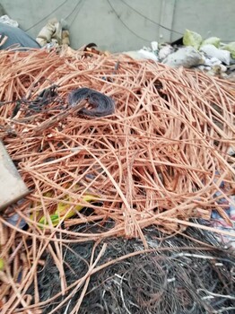 东光废铜废铝电缆全天啦啦啦回收
