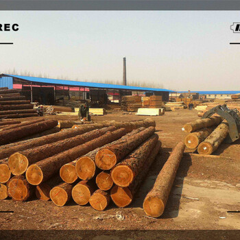 吉林工程用木材批发厂家