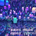 鏡子迷宮，星空藝術(shù)館，玻璃迷宮，鏡花宮，河南新鄉(xiāng)紫晨游樂
