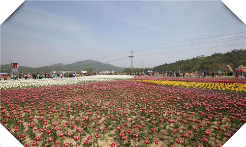 管城区本地写可行性报告公司-做可行带资质盖章