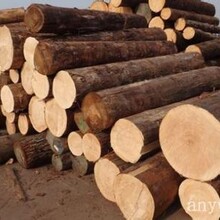 黄埔港木材进口清关代理公司，专注黄埔港沙比利木材，刺猬紫檀，濒危木材等进口木材通关，一般贸易木材进口