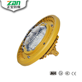 LED大功率集成防爆泛光灯ZAD-30/100W免维护LED防爆灯节能环保304材质易燃易爆气体环境