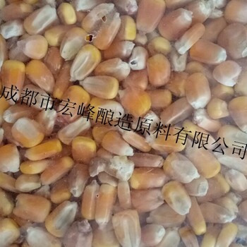 宏峰酿造常年求购玉米小麦大米高粱原料