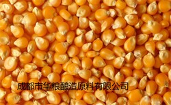 求购大米糯米小麦高粱玉米碎米淀粉豆类等原料图片2