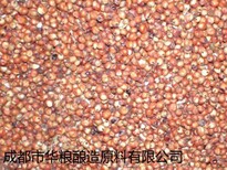 求购大米糯米小麦大米高粱淀粉豆类玉米碎米等原料图片0