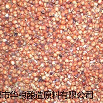 求购高粱糯米大米碎米小麦玉米等原料