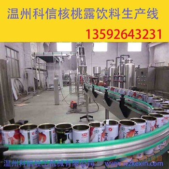 六个核桃饮料生产设备价格小型核桃乳饮料制作设备厂家郑州科信