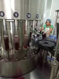 沧狮自动化葡萄酒负压灌装机,徐州葡萄酒全自动灌装机设计合理图片0