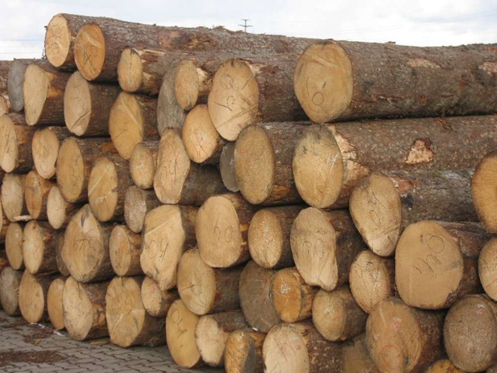 【印尼橡胶木材一般贸易进口代理】_黄页88网