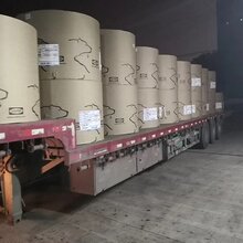 供应加拿大北极熊白牛皮纸图片