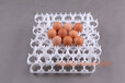  The manufacturer produces 42 egg trays, 36 special plastic egg trays for incubators