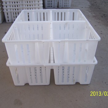 厂家批发小鸡苗运输筐鸡苗塑料筐带隔断的鸡苗箱