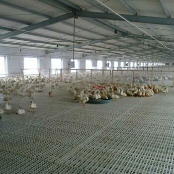 供应安徽养殖鸡鸭鹅漏粪网床平养漏粪地板