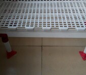 塑料漏粪地板种鸡鸭鹅用漏粪板育雏专用漏粪板