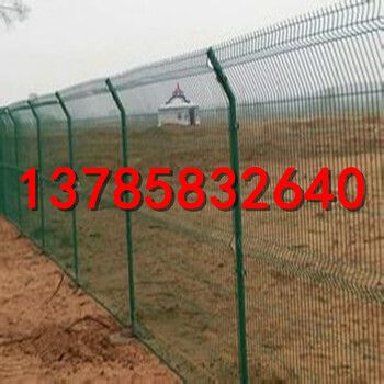 种植园绿色护栏网生态园铁丝围栏网生产