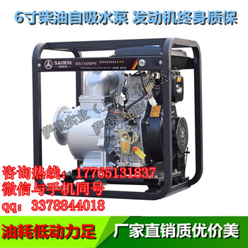 萨登农用3寸柴油自吸泵DS80DP/E