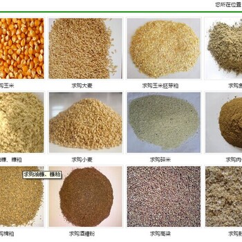 现金收购玉米豆粕棉粕麸皮次粉油糠等饲料原料