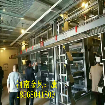 河南养鸡设备_自动化鸡笼_生产厂家全国